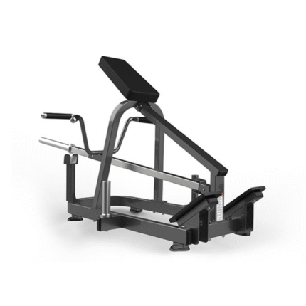 Lying T Bar Row - FW 2012