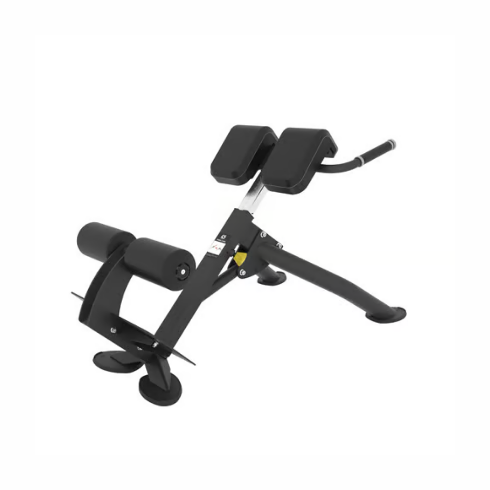 Spirit SP-4220 Back Extension Resized